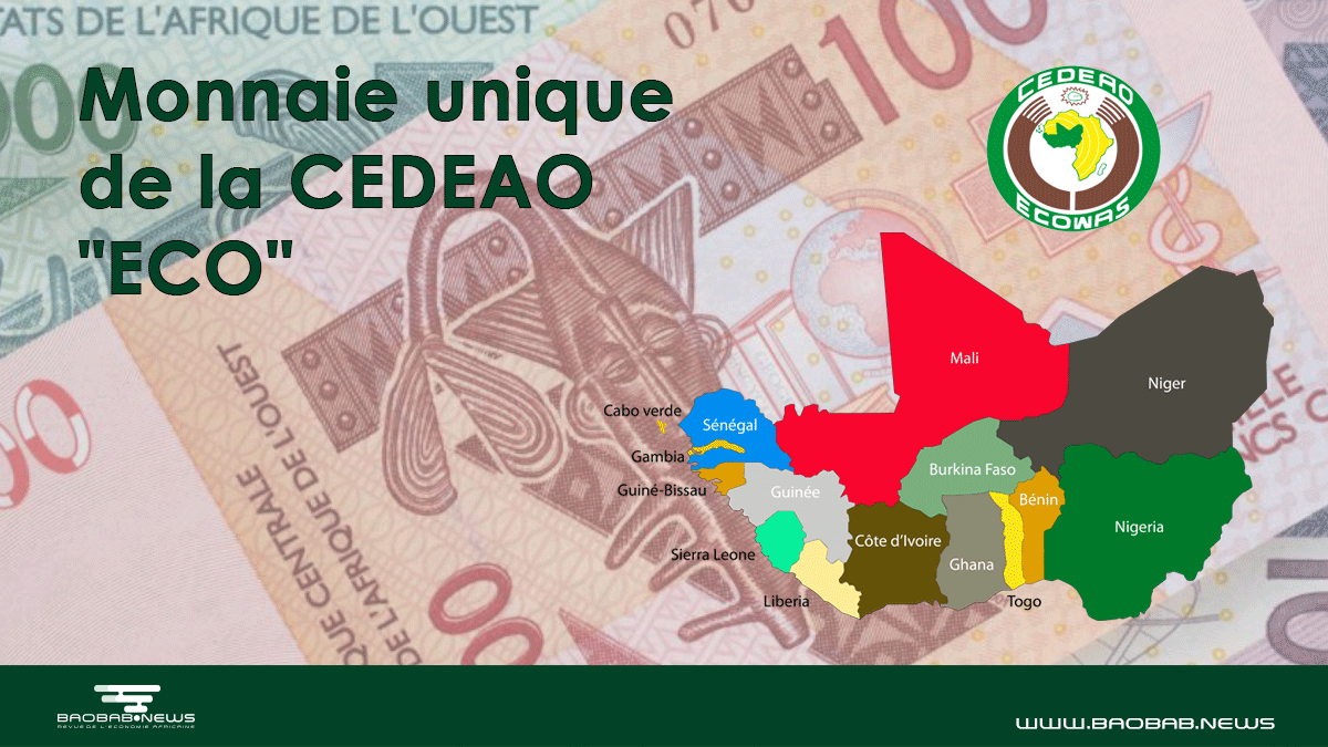 CEDEAO : nouveau round de discussions autour du projet de monnaie unique